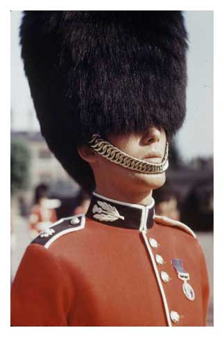 aaabearskin