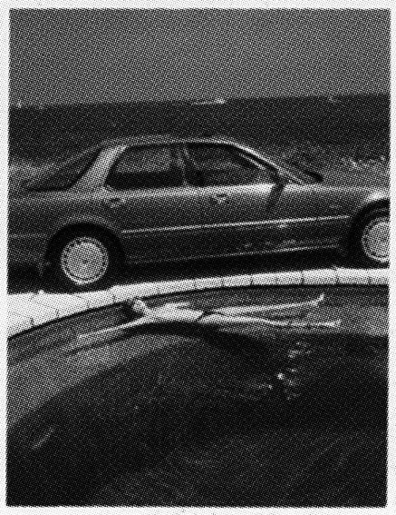 aaahelmut_newtoncarpool