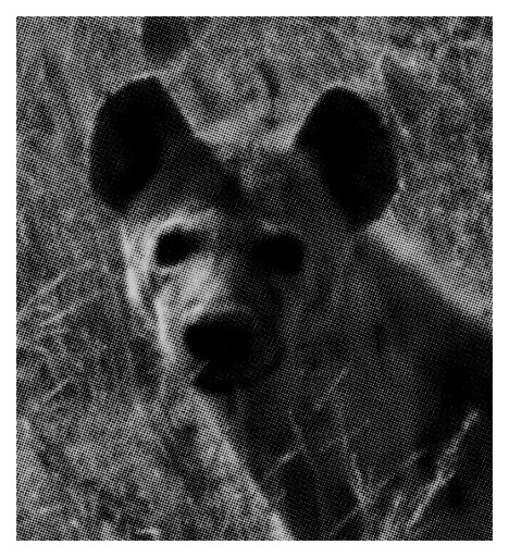 aaahyena