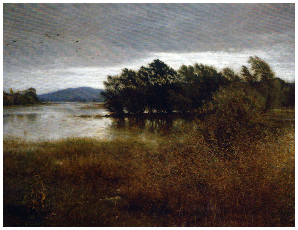 aaamillais