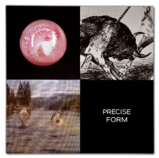 aaaprecise_form